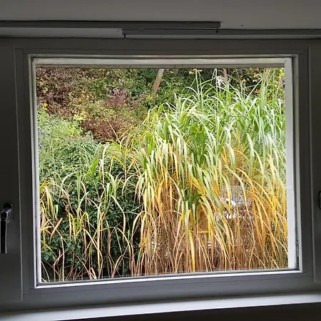 Tatil Evi Huisje Aan De Maas *